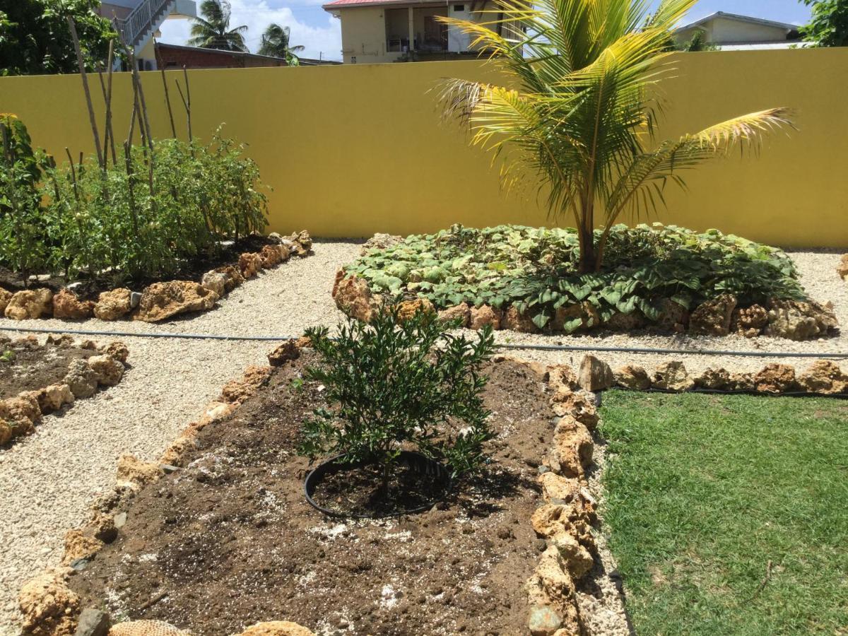 Cc Best Villas Tobago Lowlands Екстериор снимка